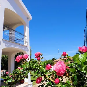 La Tartaruga Bianca Hotel